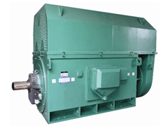 JR117-6YKK系列高压电机