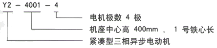 YR系列(H355-1000)高压JR117-6三相异步电机西安西玛电机型号说明